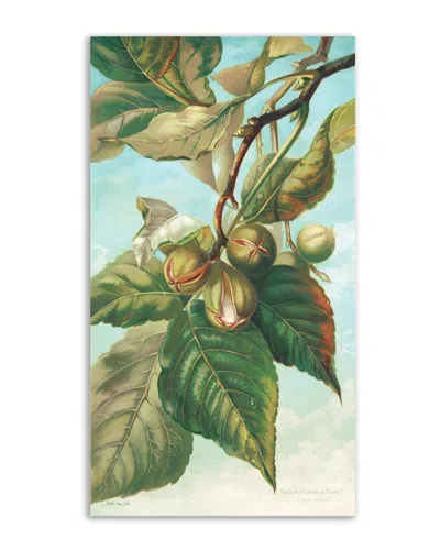Courtside Market Tree Branch With Fruit I Canvas Wall Art In Green