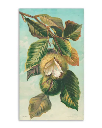 Courtside Market Tree Branch With Fruit Ii Canvas Wall Art