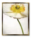 Courtside Market Wall Decor Alabastar Flutter Gallery Framed Stretched Canvas Wall Art