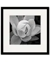 Courtside Market Wall Decor Black & White Gardia Gallery Collection Framed Art