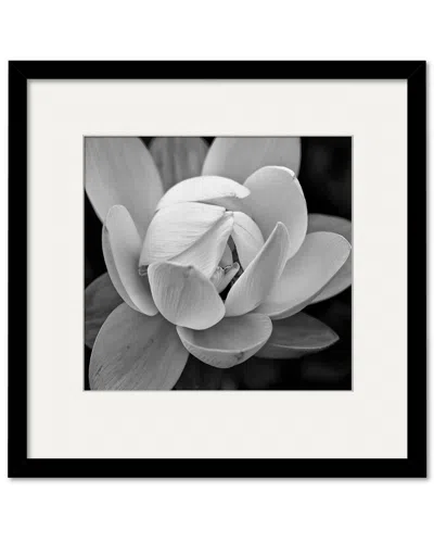 Courtside Market Wall Decor Black & White Gardia Gallery Collection Framed Art