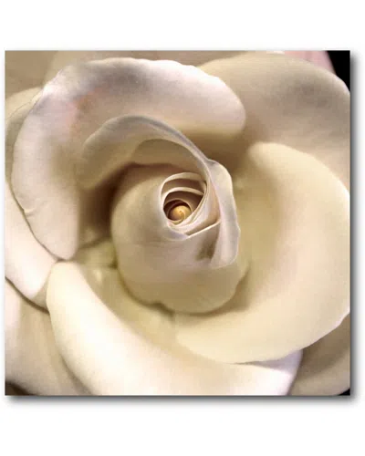 Courtside Market Wall Decor Blushing Rose I Artwork In Multicolor