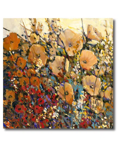 Courtside Market Wall Decor Bright & Bold Field Canvas