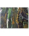 Courtside Market Wall Decor Courtside Market Botanical Hide-a-way Gallery-wrapped Canvas Wall Art