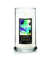 Courtside Market Wall Decor Courtside Market Color Flowers I Soy Wax Candle