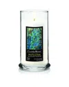 Courtside Market Wall Decor Courtside Market Deep End Soy Wax Candle