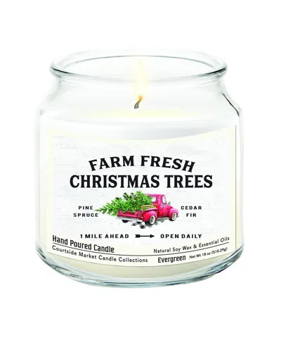 Courtside Market Wall Decor Courtside Market Fresh Farm Trees Candle In Multi
