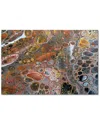 Courtside Market Wall Decor Courtside Market Gold Rush Gallery-wrapped Canvas Wall Art