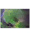 Courtside Market Wall Decor Courtside Market Lady Of The Forest Gallery-wrapped Canvas Wall Art