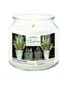 Courtside Market Wall Decor Courtside Market Merry Christmas Cardinals Candle In Multi