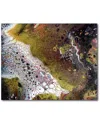 Courtside Market Wall Decor Courtside Market Moonstruck Gallery-wrapped Canvas Wall Art