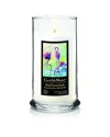 Courtside Market Wall Decor Courtside Market Tropical Paradise Soy Wax Candle