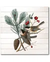 Courtside Market Wall Decor Courtside Market Winter Bird I Framed Art In Multicolor