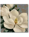 Courtside Market Wall Decor Dolce Magnolia In Multicolor