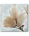 Courtside Market Wall Decor Magnolia Blue Ii In Multicolor