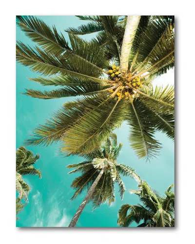 Courtside Market Wall Decor Palms Up Gallery-wrapped Canvas Wall Art In Multi