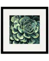 Courtside Market Wall Decor Succulent Bloom Ii Gallery Collection Framed Art