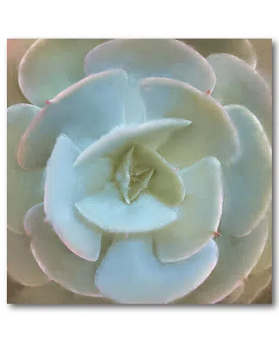 Courtside Market Wall Decor Succulent Ii Canvas Wall Art In Blue