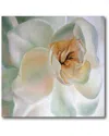 Courtside Market Wall Decor White Flower Ii Canvas