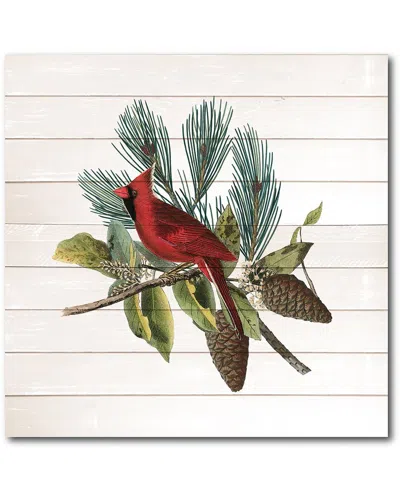 Courtside Market Wall Decor Winter Bird Iii Framed Art In Multicolor