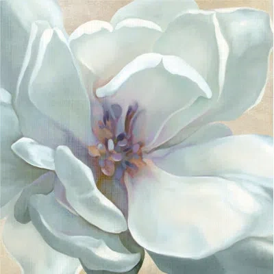Courtside Market 'white Flower I' Graphic Art Print On Canvas