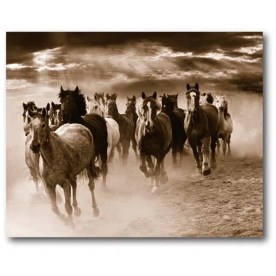 Courtside Market Wild Horses I Photographic Print On Wrapped Canvas In Brown;gray