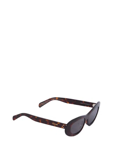 Coutr.com Celine Cat Eye S310 Sunglasses In Acetate In Brown