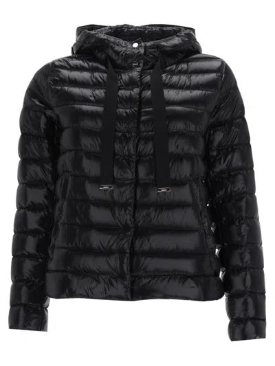 Coutr.com Herno Hooded Jacket In Black
