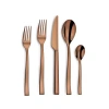 Couzon Side Pvd Copper 5 Piece Place Setting In Copper