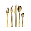 Couzon Side Pvd Gold 5 Piece Place Setting In Gold