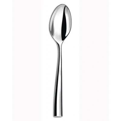 Couzon Silhouette Stainless Steel Teaspoon In Transparent