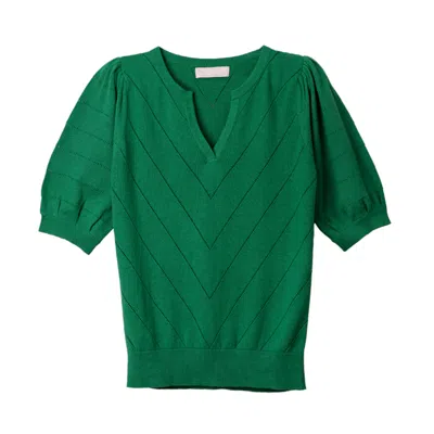 Cove Women's Celine Green Pointelle Top