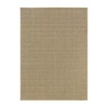 Covington Home Kehlani Flat Woven Solid Indoor Outdoor Rectangular Area Rug In Brown