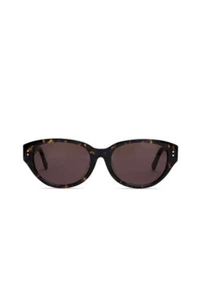 Covry Nova Polarized Sunglasses In Brown