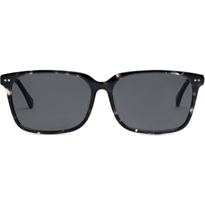 Covry Polaris Sunglasses In Blue