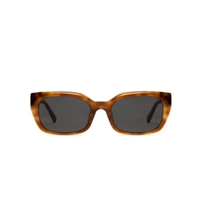 Covry Shaula Sunglasses In Brown
