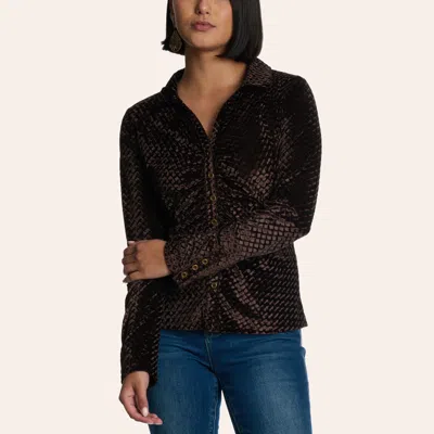 Cowgirl Hardwar E Women's Dark Chocolate Long Sleeve Velvet Top In Brown