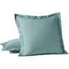 Coyuchi 300 Thread Count Organic Cotton Percale Pillow Sham In Green