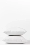 Coyuchi 300 Thread Count Organic Percale Pillowcase Set Of 2 In White