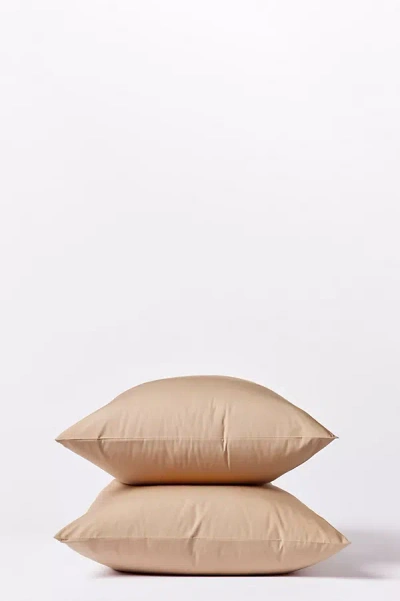 Coyuchi 300 Thread Count Organic Percale Pillowcase Set Of 2