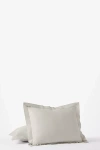Coyuchi 300 Thread Count Organic Cotton Percale Euro Sham