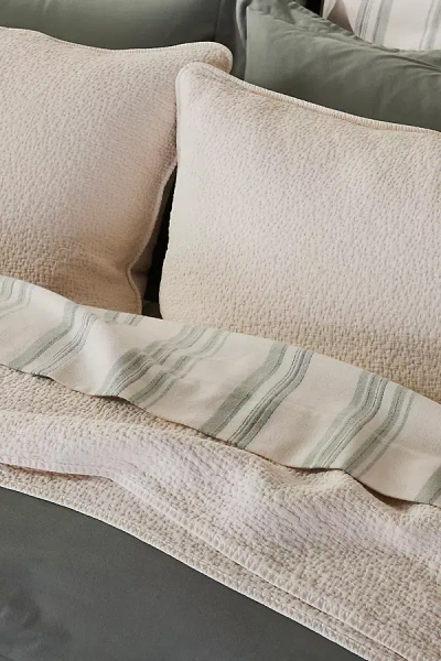 Coyuchi Cascade Organic Matelasse Euro Sham