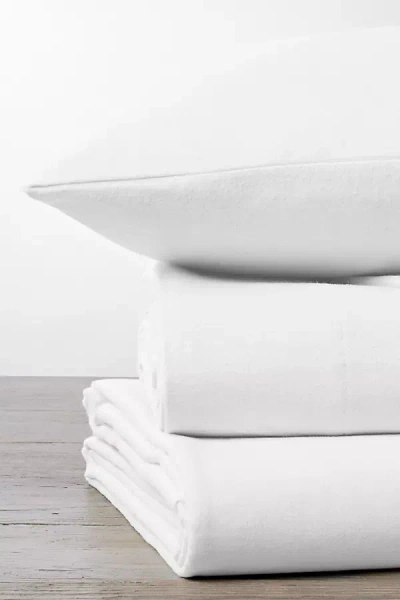 Coyuchi Cloud Brushed Organic Flannel Euro Sham In White