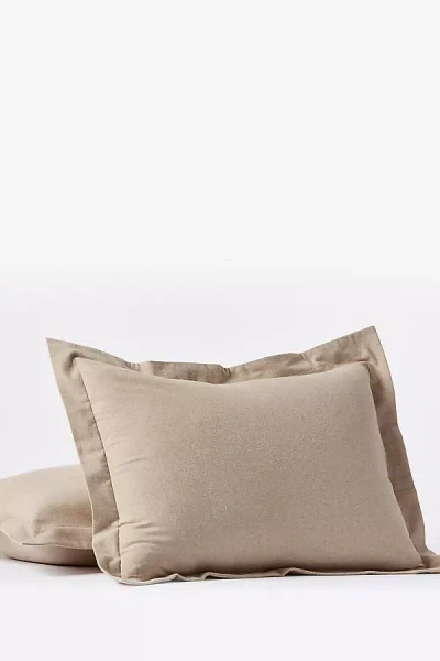 Coyuchi Cloud Brushed Organic Flannel Sham