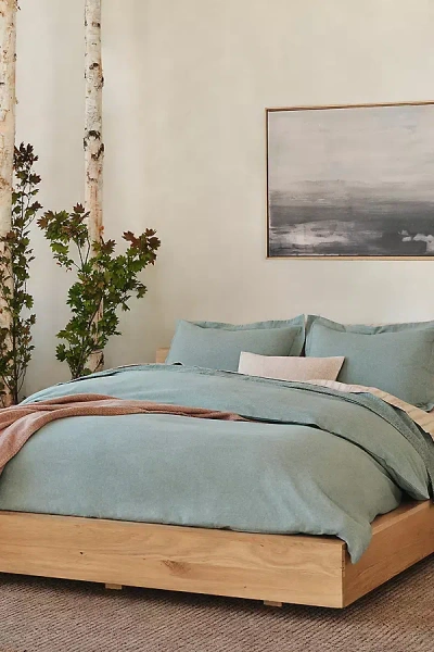 Coyuchi Cloud Brushed Organic Flannel Sham
