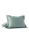 Coyuchi Cloud Soft Organic Cotton Cotton Sateen Sham In Sage