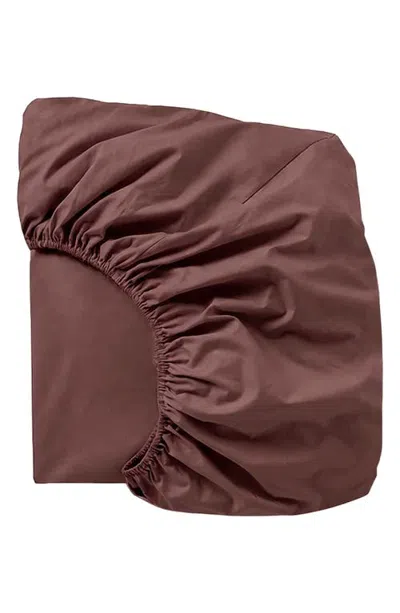 Coyuchi Cloud Soft Organic Cotton Sateen Fitted Sheet In Brown