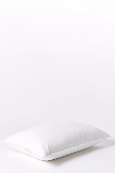 Coyuchi Down Pillow Insert In White