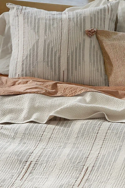 Coyuchi Morelia Organic Sham In Gray