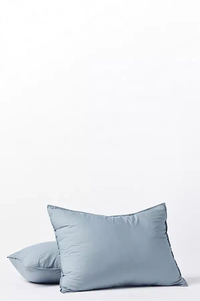 Coyuchi Organic Crinkled Percale Sham In Blue